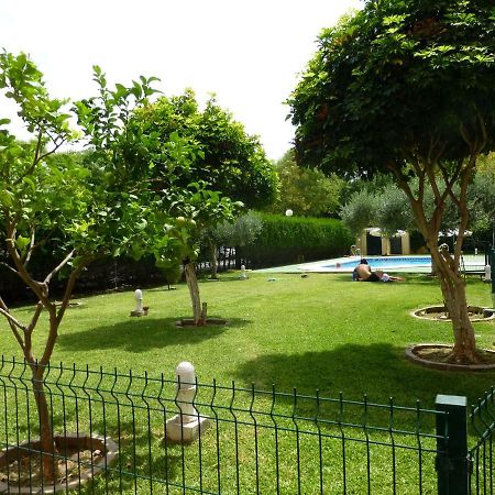 Milenium Palace - Garaje Incluido - Piscina-Fibes Sewilla Zewnętrze zdjęcie